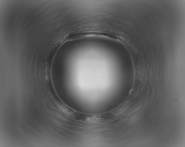 X0000054410470200508121730