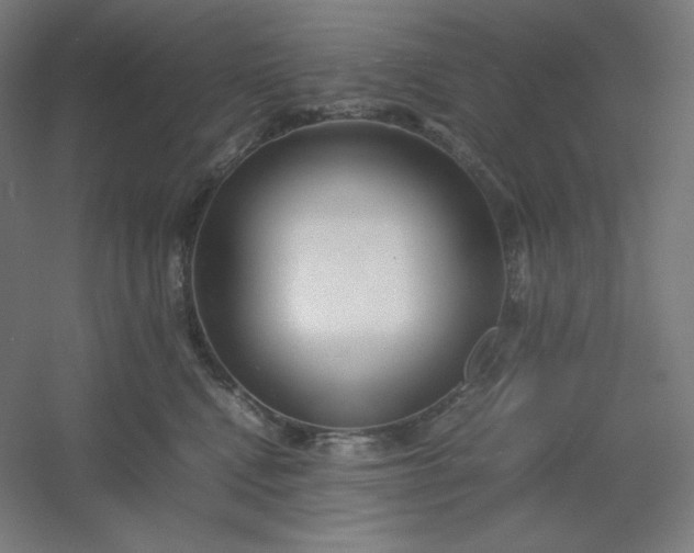 X0000054410472200508121730