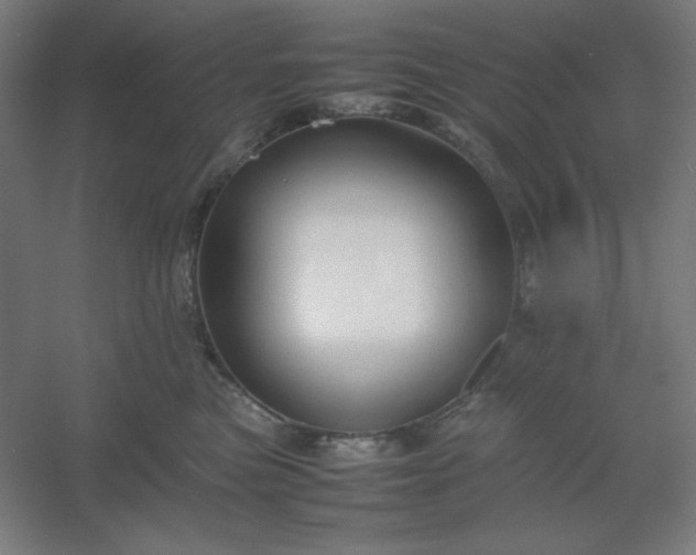 X0000054410473200508121730