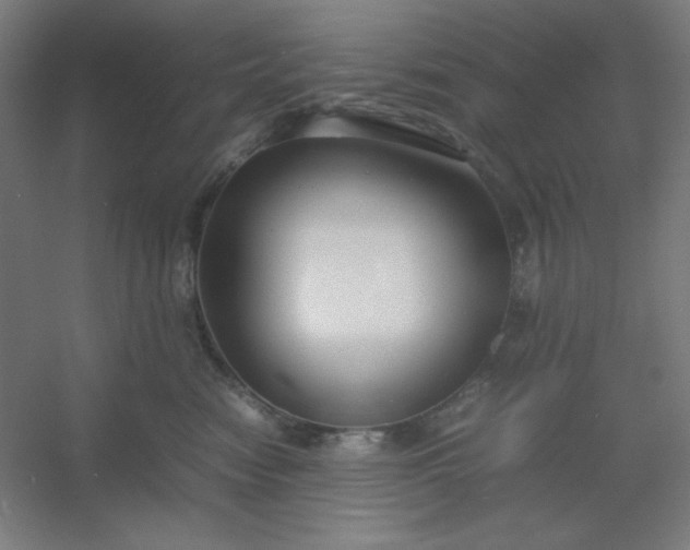 X0000054410474200508121730