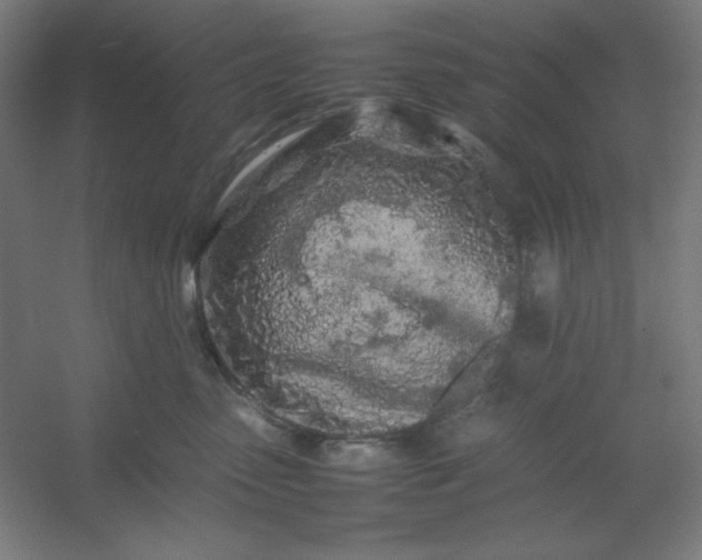 X0000054410475200508121730