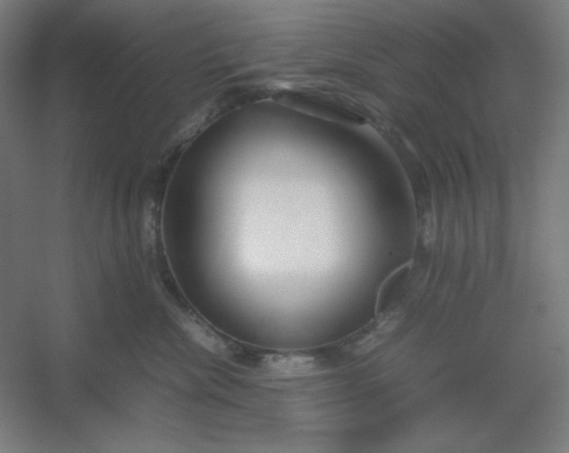 X0000054410476200508121730