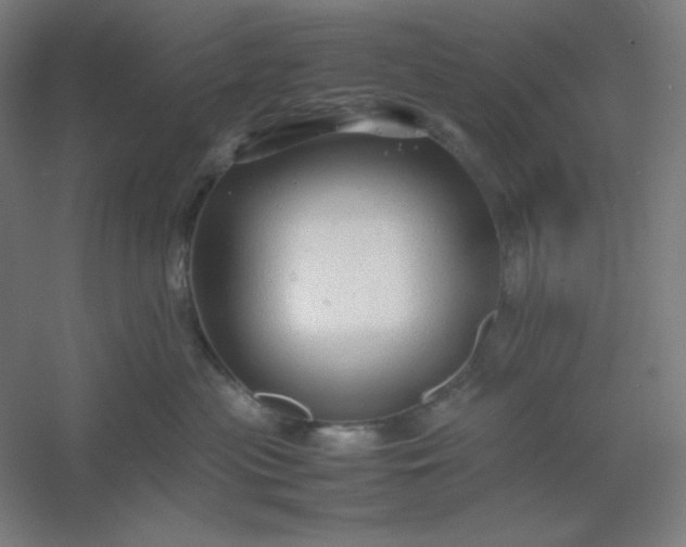 X0000054410477200508121730