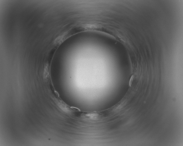 X0000054410478200508121730