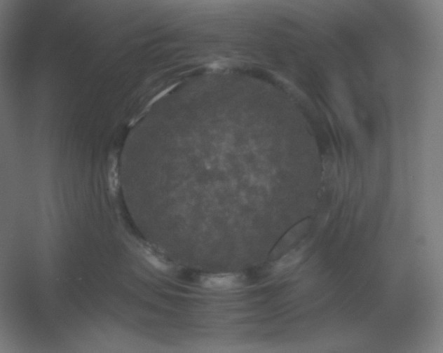 X0000054410479200508121730