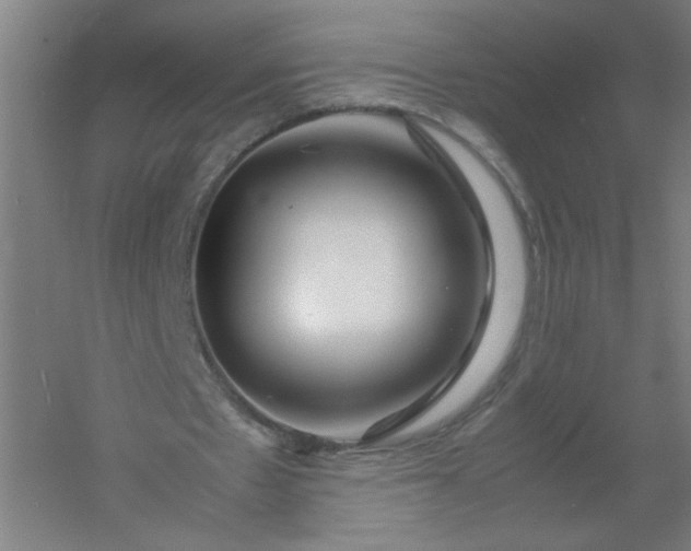 X0000054410481200508121729