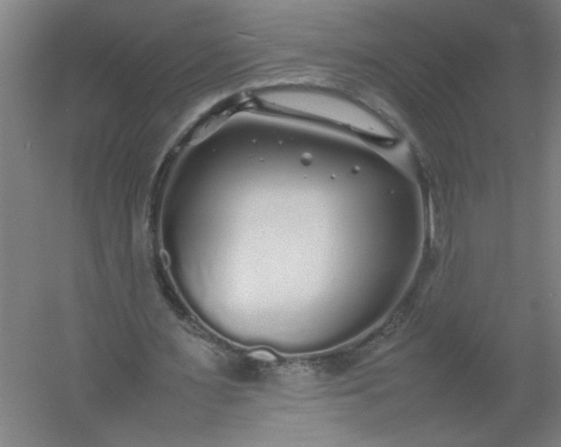 X0000054410483200508121729