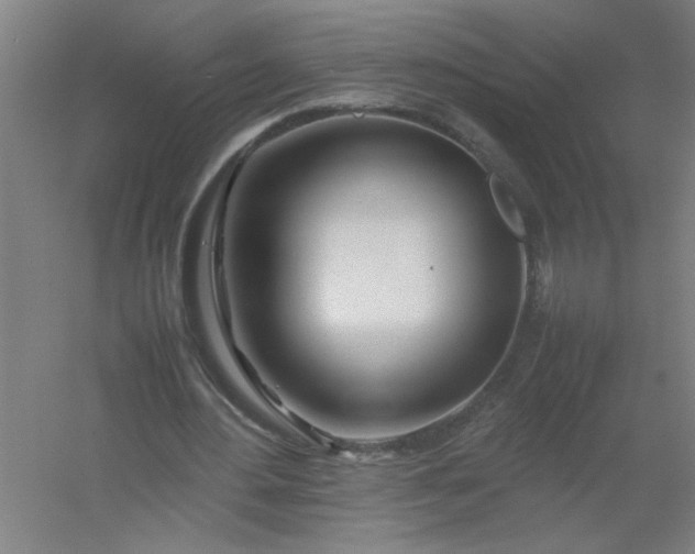 X0000054410484200508121729