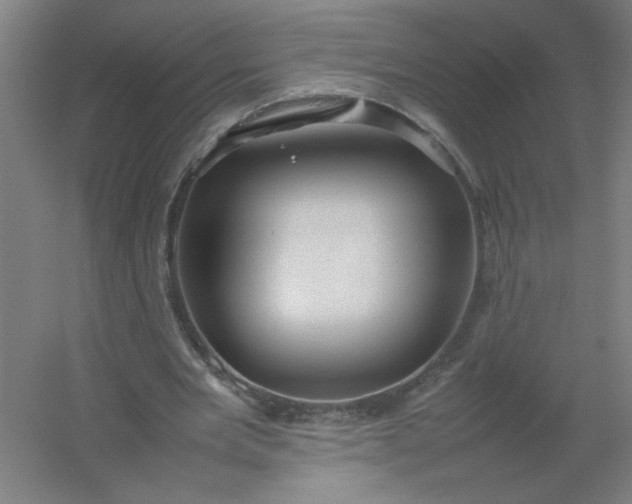 X0000054410485200508121729