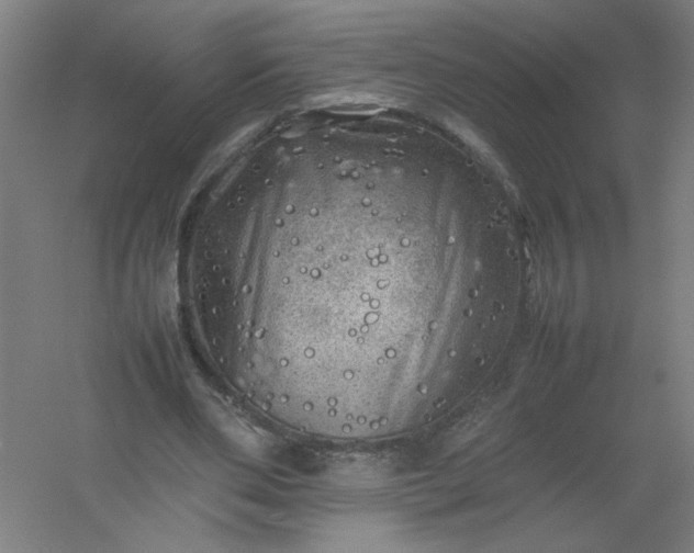 X0000054410486200508121729