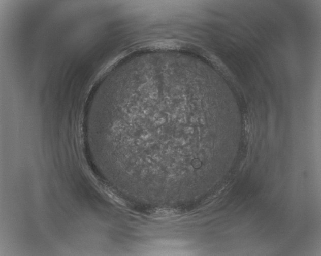 X0000054410487200508121729