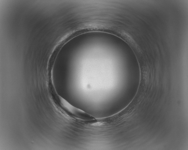 X0000054410488200508121729