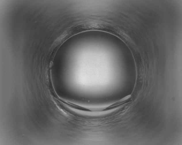 X0000054410489200508121729