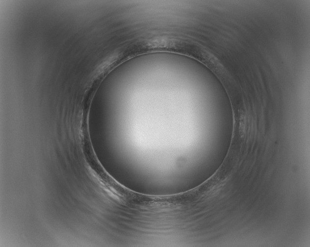 X0000054410490200508121729