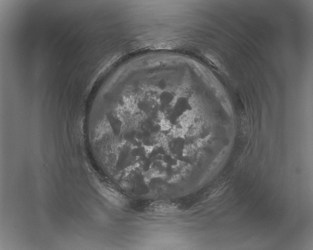 X0000054410491200508121729