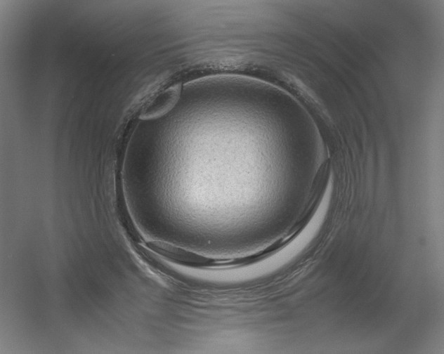 X0000054410493200508121729