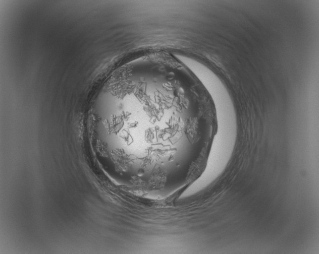 X0000054410495200508121729