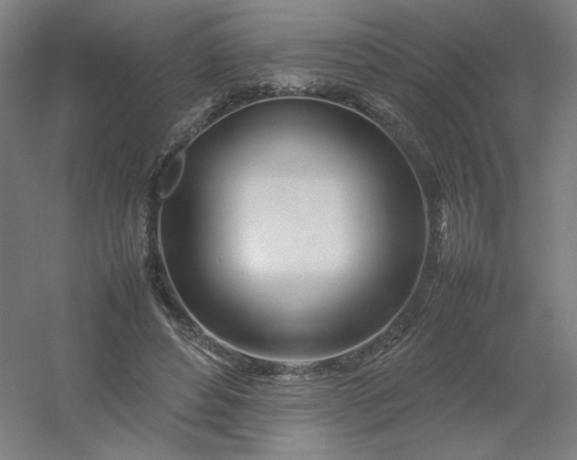 X0000054410496200508121729