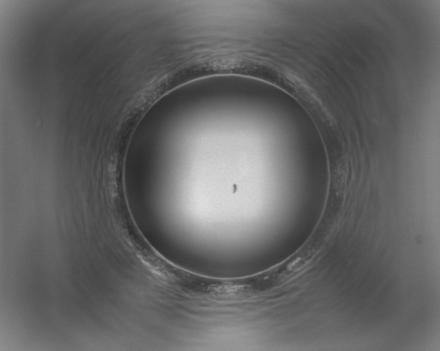 X0000054410497200508121729