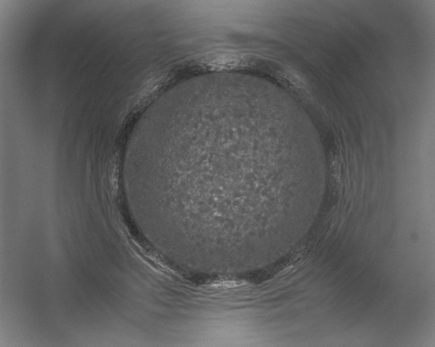 X0000054410499200508121729