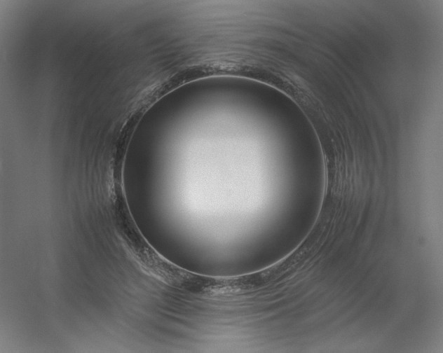 X0000054410500200508121729