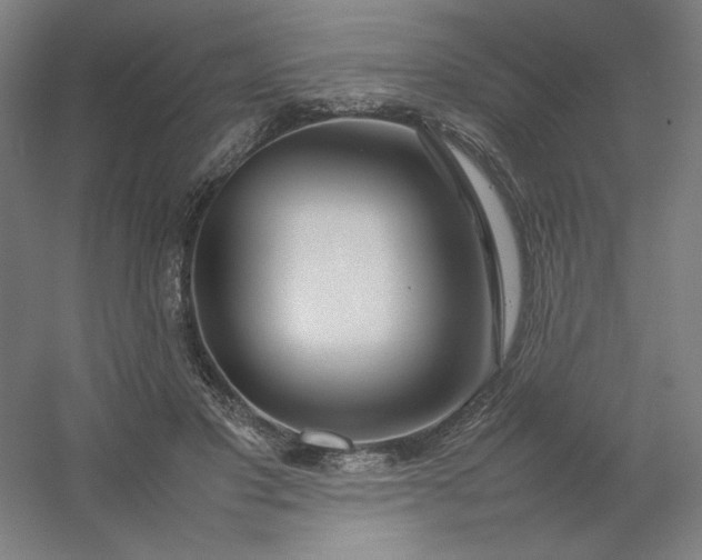 X0000054410501200508121729