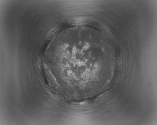 X0000054410503200508121729