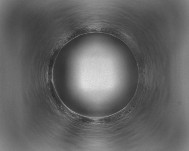 X0000054410504200508121729