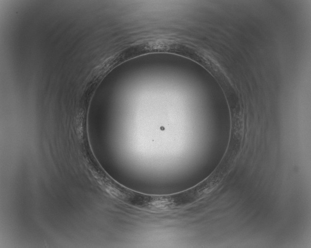 X0000054410505200508121729