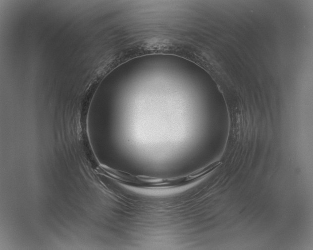 X0000054410508200508121729