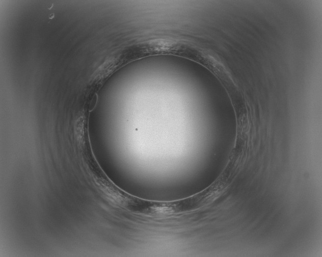 X0000054410509200508121729