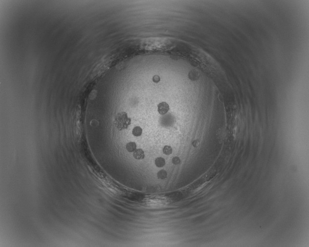 X0000054410510200508121729