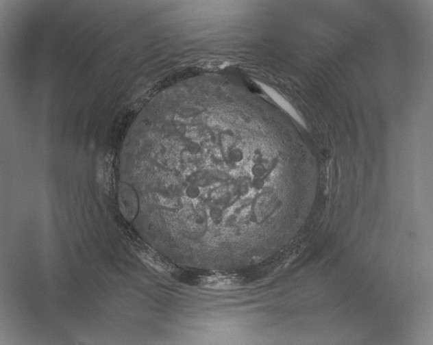 X0000054410511200508121729