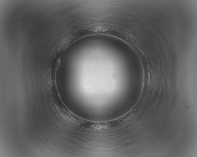 X0000054410512200508121729