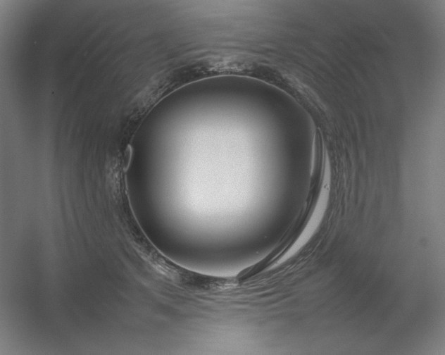 X0000054410513200508121729