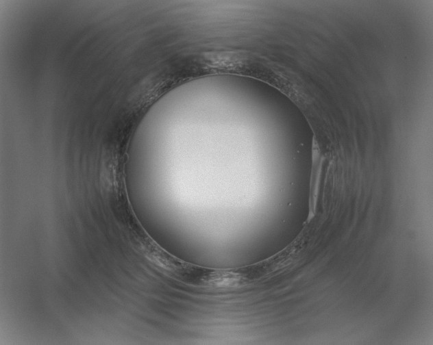 X0000054410514200508121729