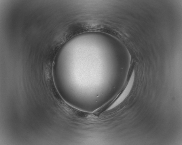 X0000054410515200508121728