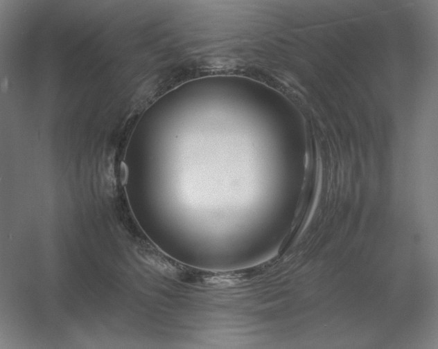 X0000054410516200508121728