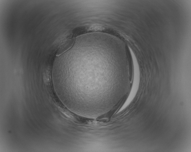 X0000054410517200508121728