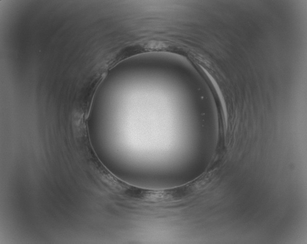 X0000054410521200508121728