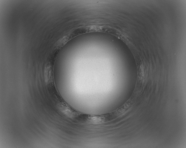 X0000054410522200508121728