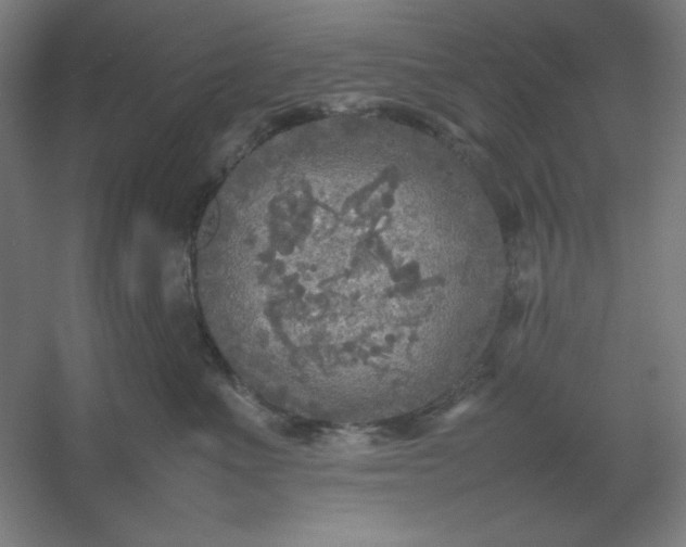 X0000054410523200508121728