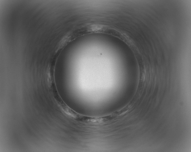 X0000054410524200508121728