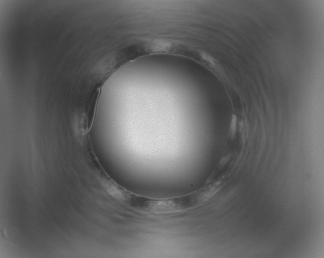 X0000054410525200508121728