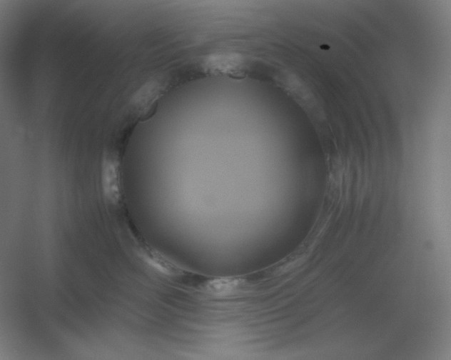 X0000054410526200508121728