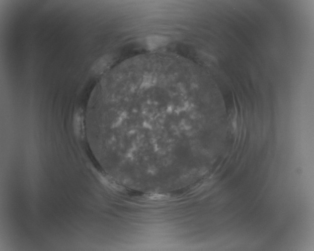 X0000054410527200508121728