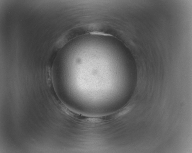 X0000054410528200508121728