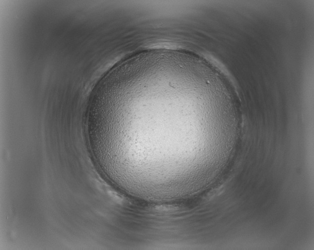 X0000054410529200508121727