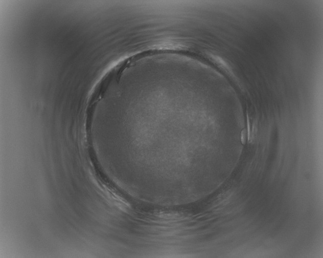 X0000054410531200508121727