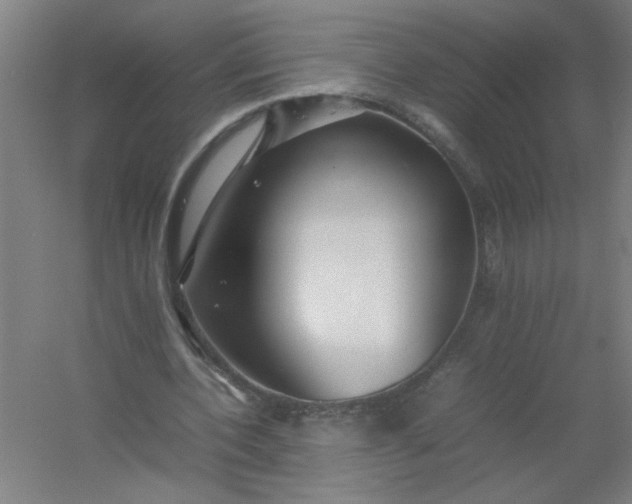 X0000054410532200508121727